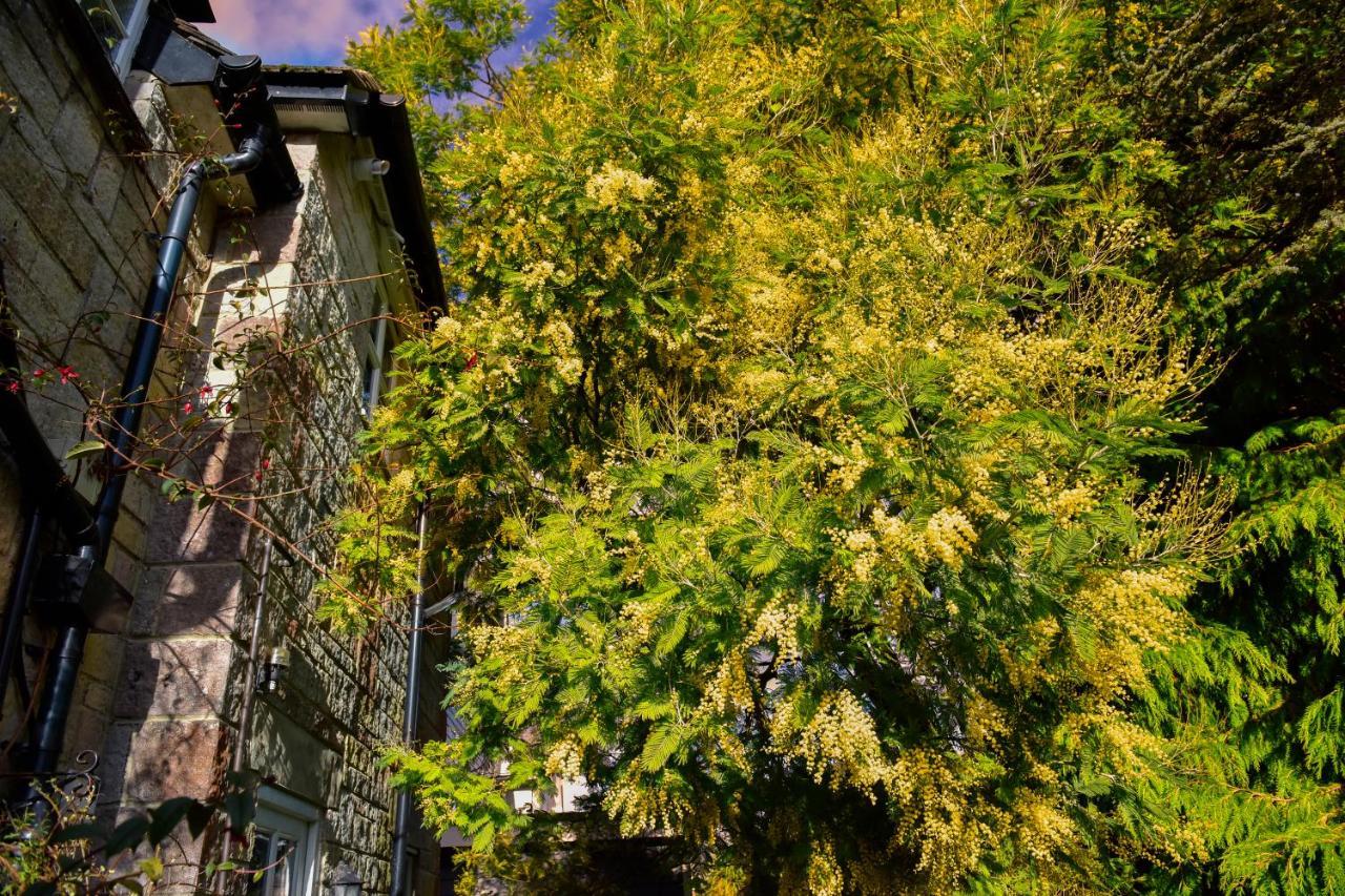 Ward Avenue B&B Cowes  Exteriér fotografie