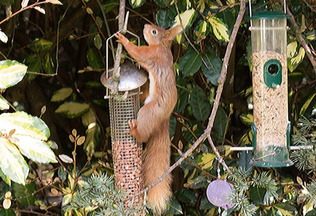 Ward Avenue B&B Cowes  Exteriér fotografie