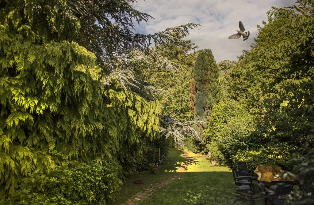 Ward Avenue B&B Cowes  Exteriér fotografie